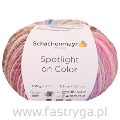 Spotlight on Color  82