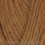 Alpaca Storm  573 - 2