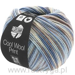 Cool Wool Print   763