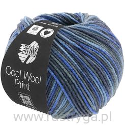 Cool Wool Print   716