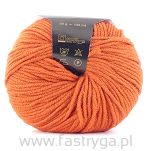 Rial Filati Merino soft 401 - ruda - 2