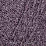 Alpaca Storm  568 - 2