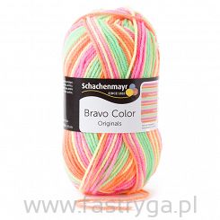 Bravo Color  02100