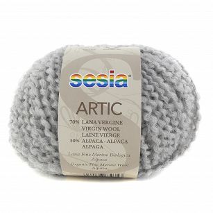 Artic 46