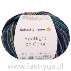 Spotlight on Color  84