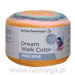 Dream Walk Color  81 - 3