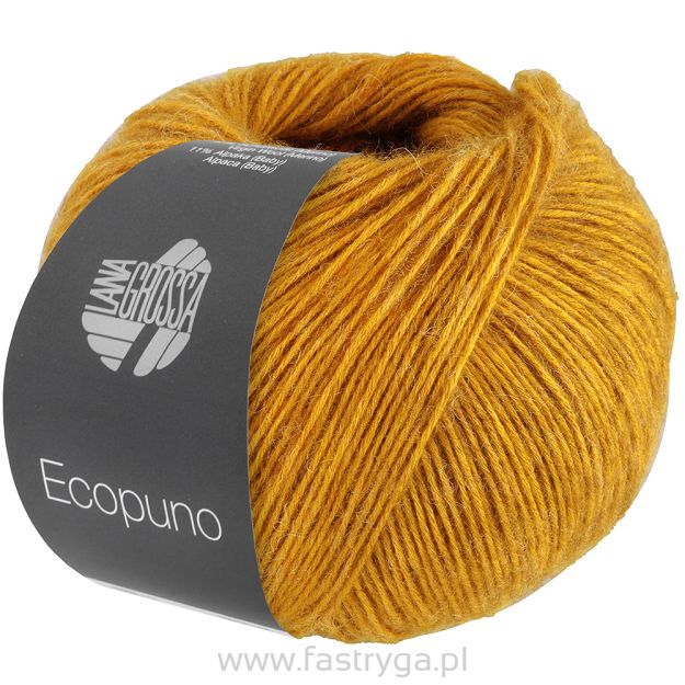 Ecopuno 094
