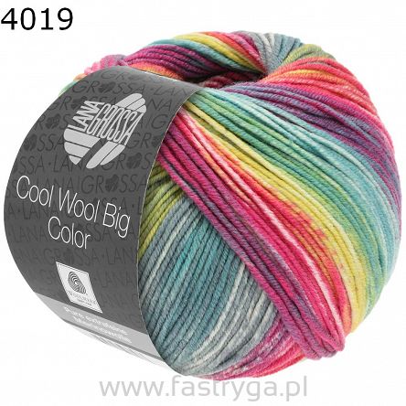 Cool Wool Big Color 4019