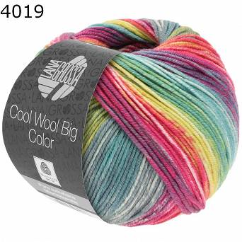 Cool Wool Big Color 4019