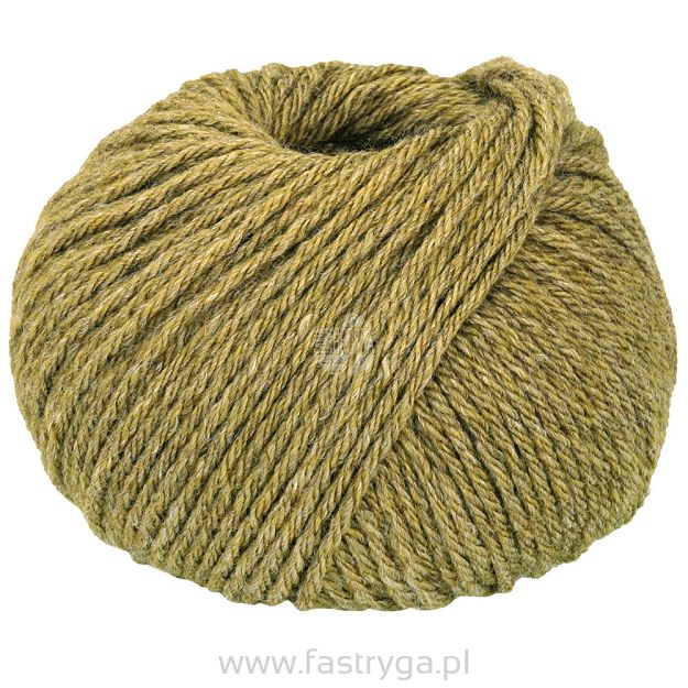 New Classic   8 oliwka