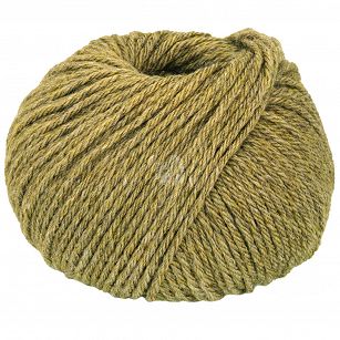 New Classic   8 oliwka