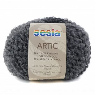 Artic 461