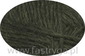 Lettlopi 1407 zielony