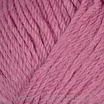 Alpaca Storm  563 - 2