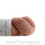 Loch Lomond   22 - 3