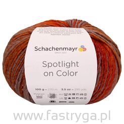 Spotlight on Color  80