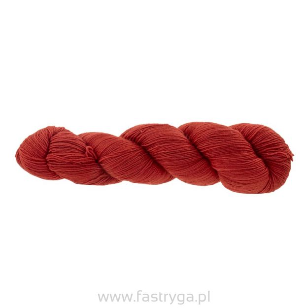 Lace  Bergamota  094