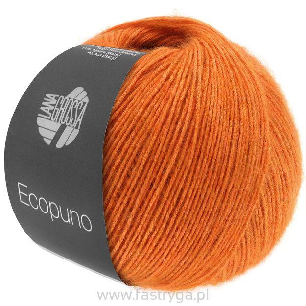 Ecopuno 005