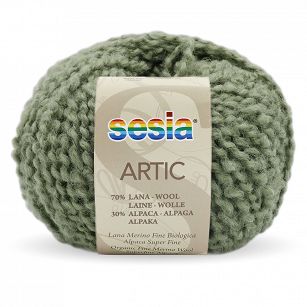 Artic 4521