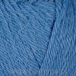 Alpaca Storm  523 - 2