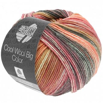 Cool Wool Big Color 4021