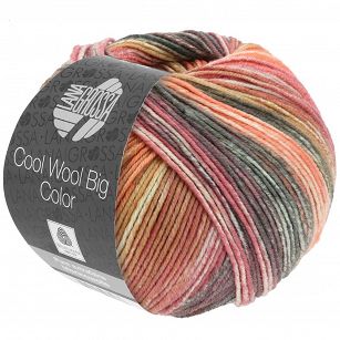 Cool Wool Big Color 4021