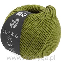 Cool Wool Big  1021