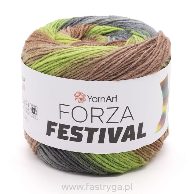 Forza Festival 2910