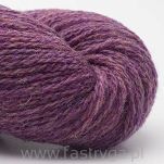 Bio Shetland  32 - 2