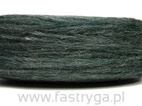Plotulopi 0484 - 2