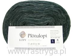 Plotulopi 0484