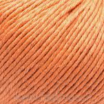 Linova  72 morela - 3