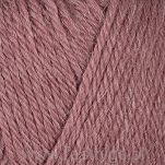 Alpaca Storm  567 - 2