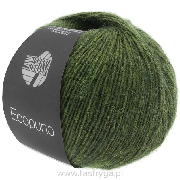 Ecopuno 001