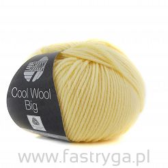 Cool Wool Big  1007