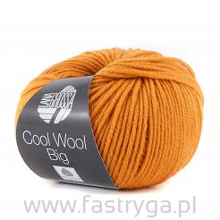 Cool Wool Big  970